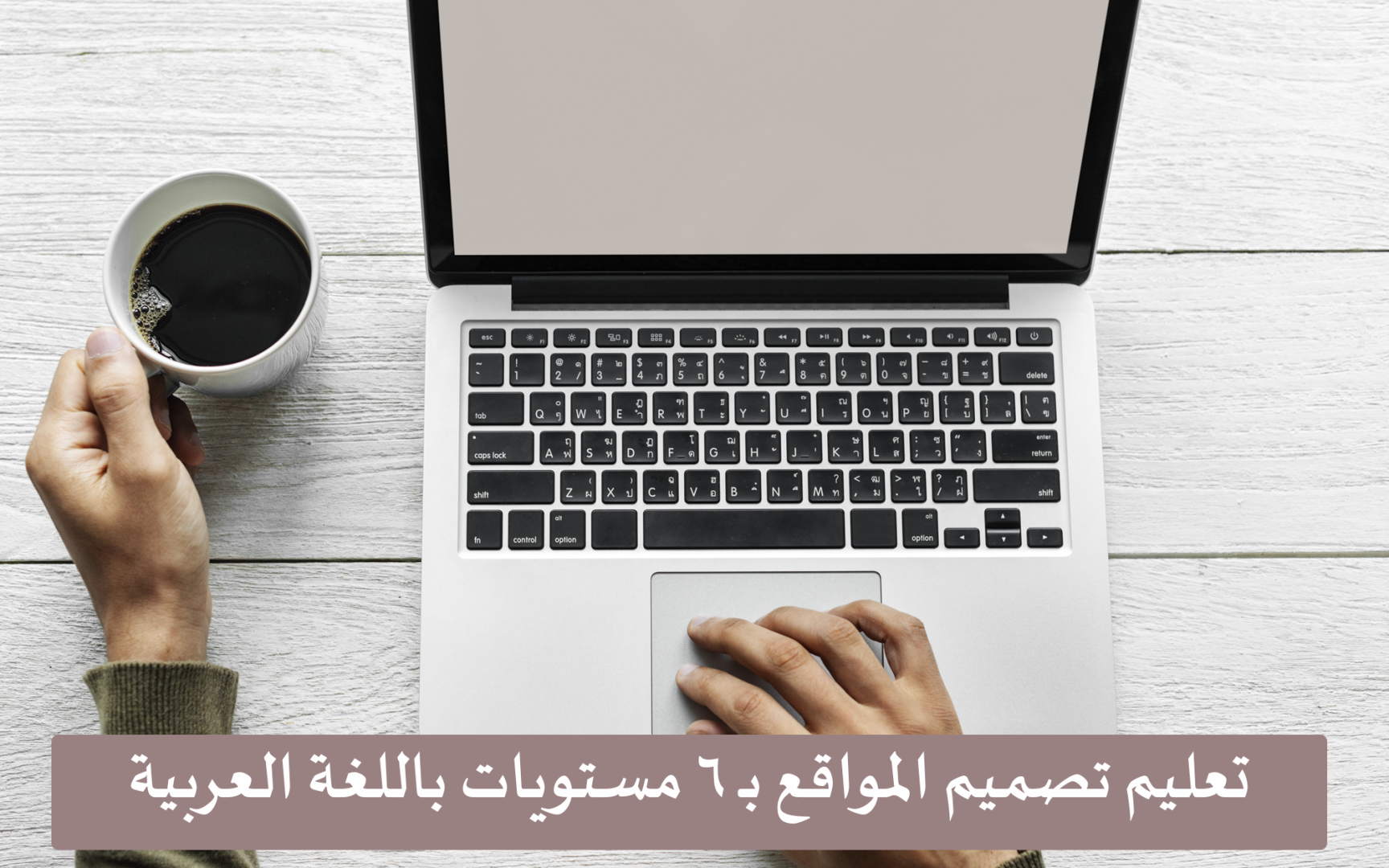 تعليم تصميم المواقع بـ 6 مستويات باللغة العربية.. مجانًا